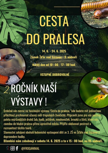 Výstava Cesta do pralesa