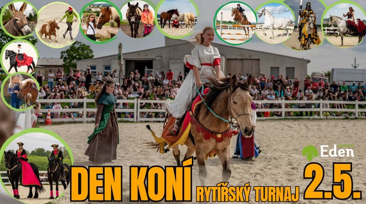 Den koní a rytířský turnaj