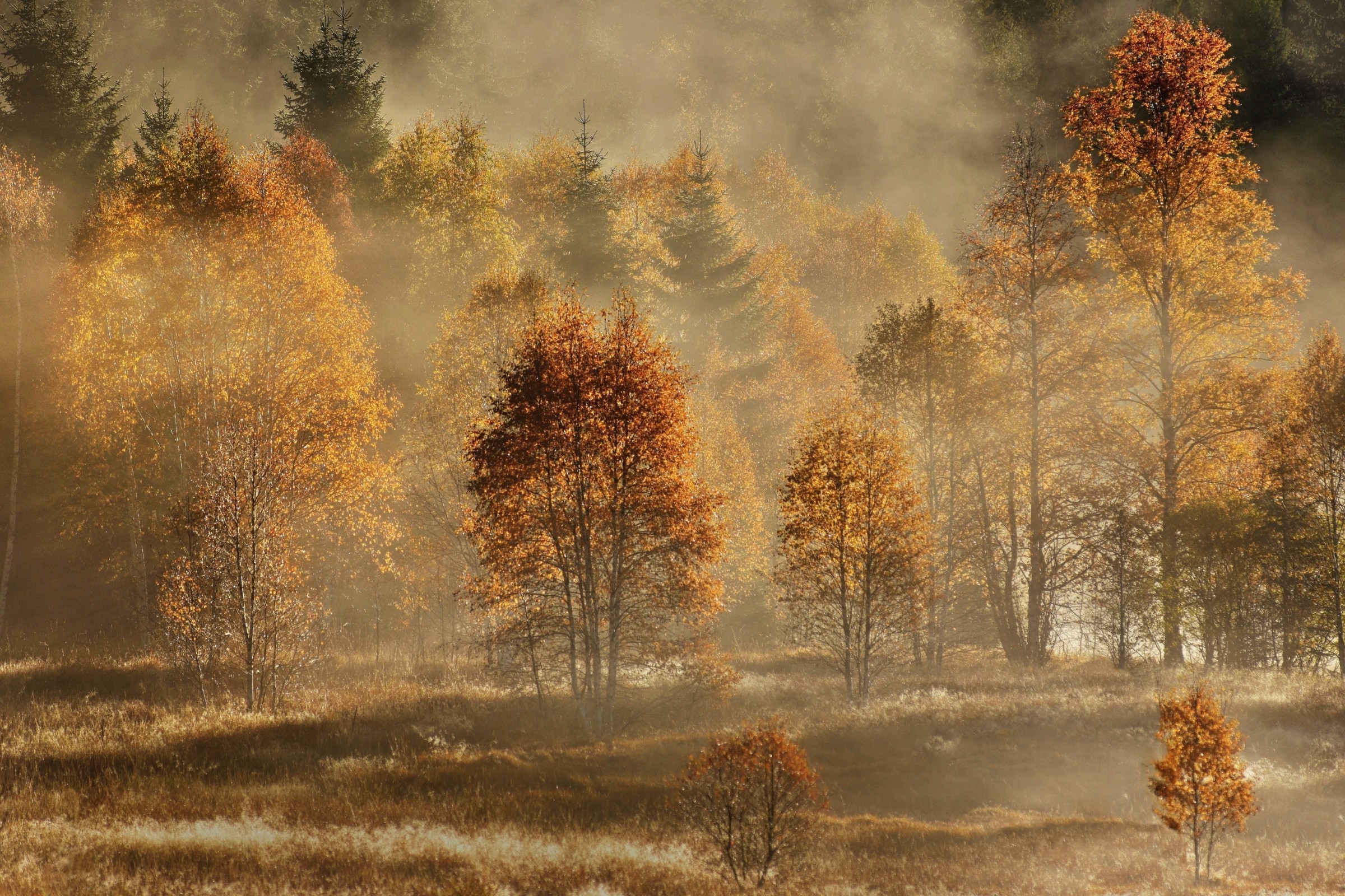 Josef Uhlíř: Výstava fotografií a fotoobrazů
