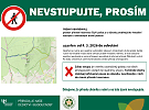 Přírodní rezervace Čtyři palice uzavřena kvůli hnízdění sokola