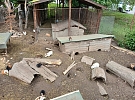 Zookoutek U Hada ve Žďáře nad Sázavou se probudil ze zimního spánku a opět vítá návštěvníky
