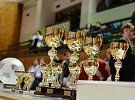 13. ročník Halového turnaje ˝O pohár města Žďáru nad Sázavou˝ pro ročník 2011 a mladší