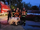Stateční hasiči ze Žďáru zachránili Diora z polničského kamenolomu!