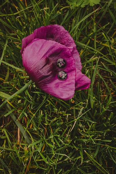 Fotografie 5