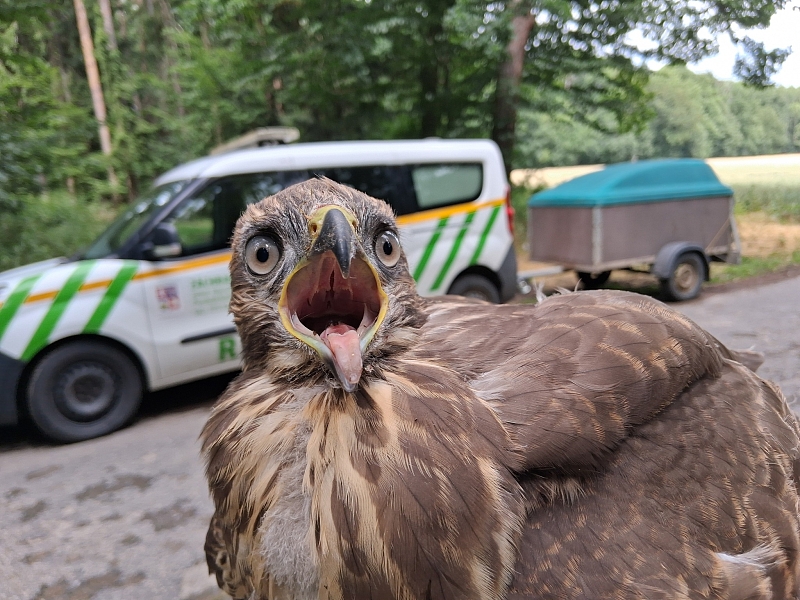 Fotografie 2