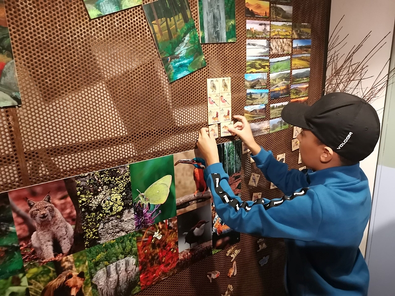 Fotografie 2