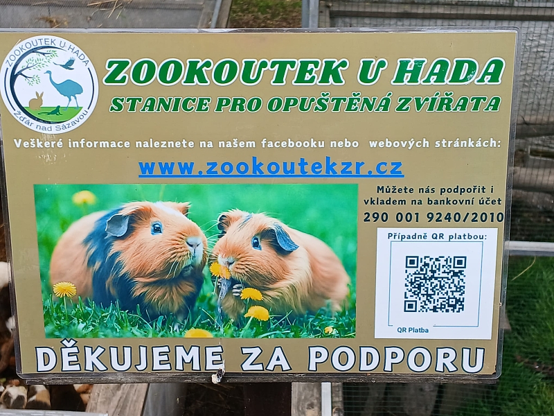 Fotografie 5